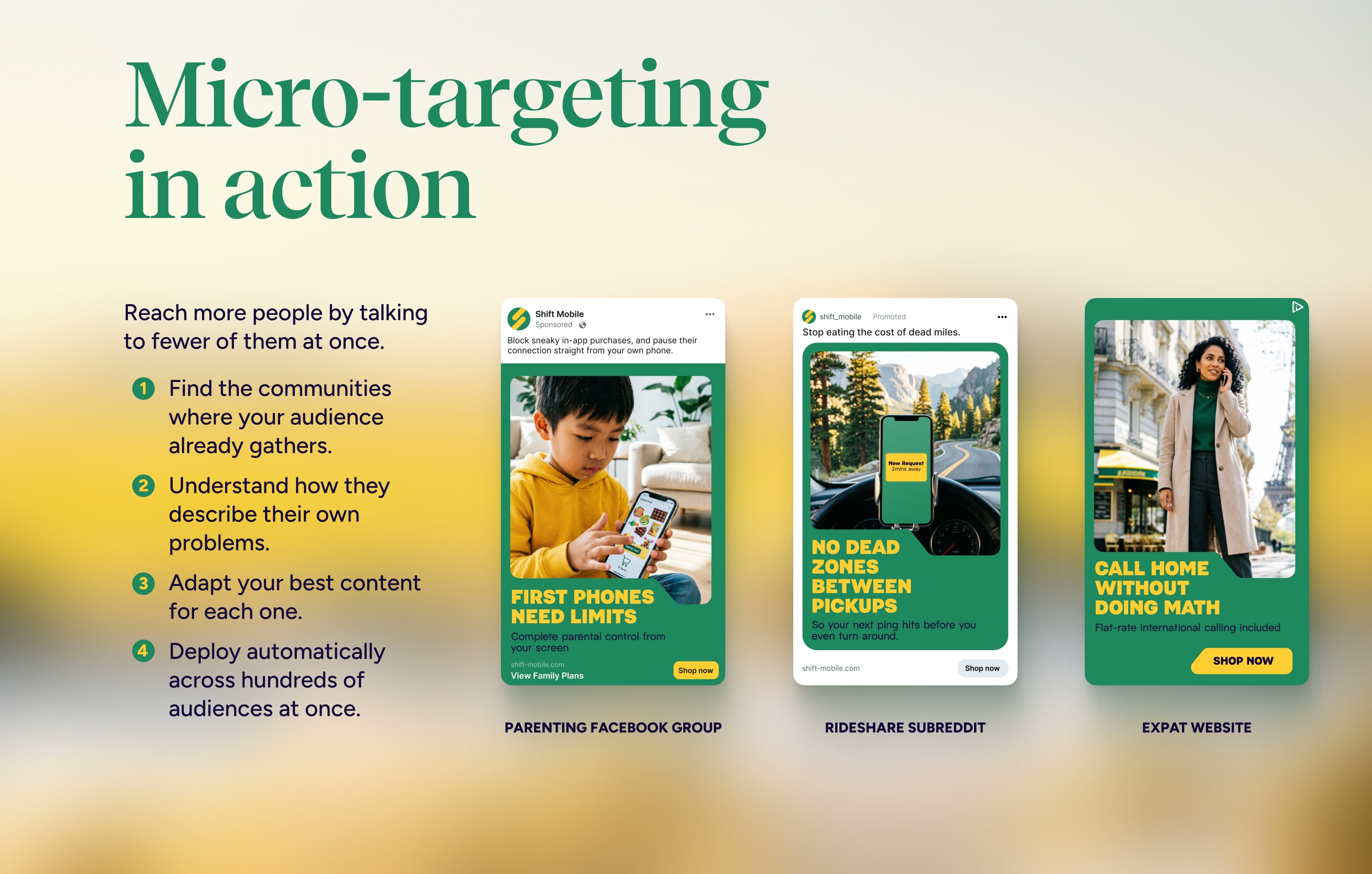 Micro-targeting
in action